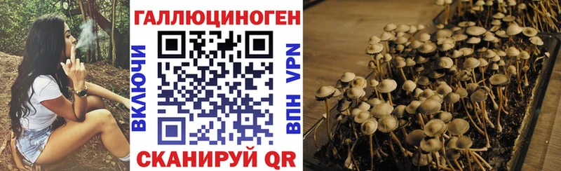 ОМГ ОМГ ссылки  Златоуст  Галлюциногенные грибы Cubensis 